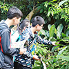 科考公益——云南生态守护者西双版纳热带雨林科学探索营